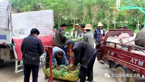今日吃瓜缅北群众视频,吃瓜视频背后的故事