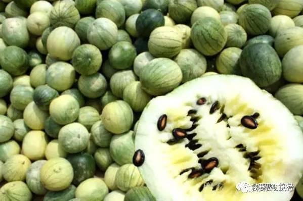 糖瓜吃瓜网址,解锁甜蜜美食之旅