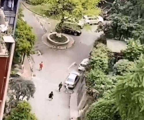 阳台吃瓜群众,见证邻里百态