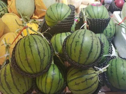 糖儿吃瓜,揭秘甜蜜背后的瓜界风云