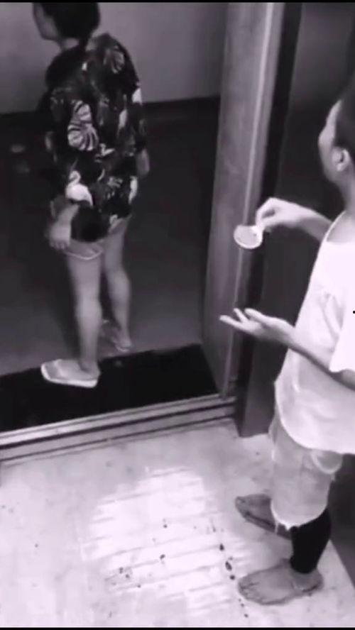 吃瓜群众的瓜没了完整版,一场网络热传事件的背后真相